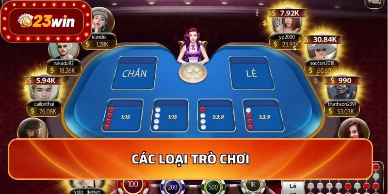 Các loại trò chơi