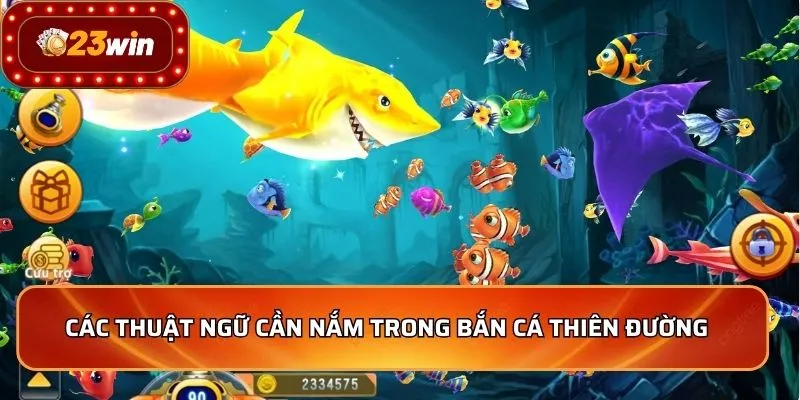 Các thuật ngữ cần nắm trong Bắn Cá Thiên Đường  