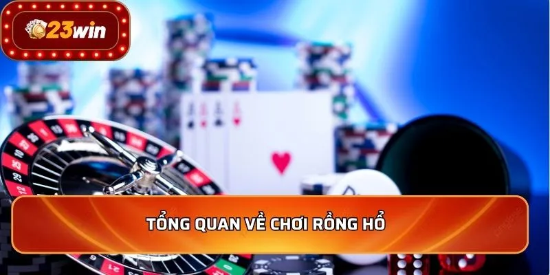 Tổng quan về chơi rồng hổ  